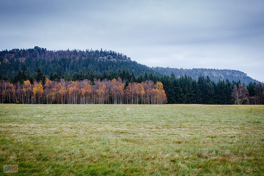 Widok na Szczeliniec z okolic Karłowa