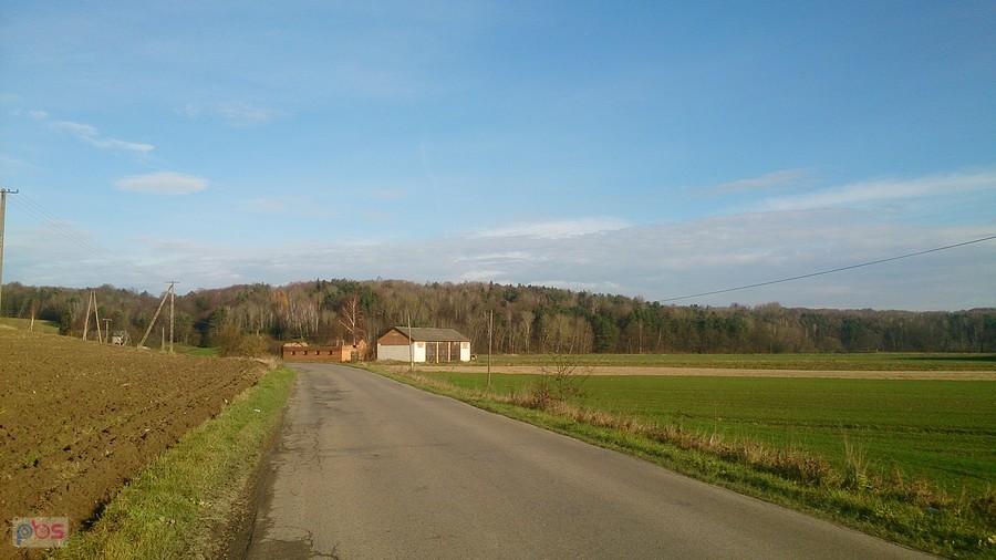 Pagórki w Koloni Batorz