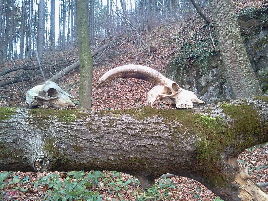 Takie tam po drodze