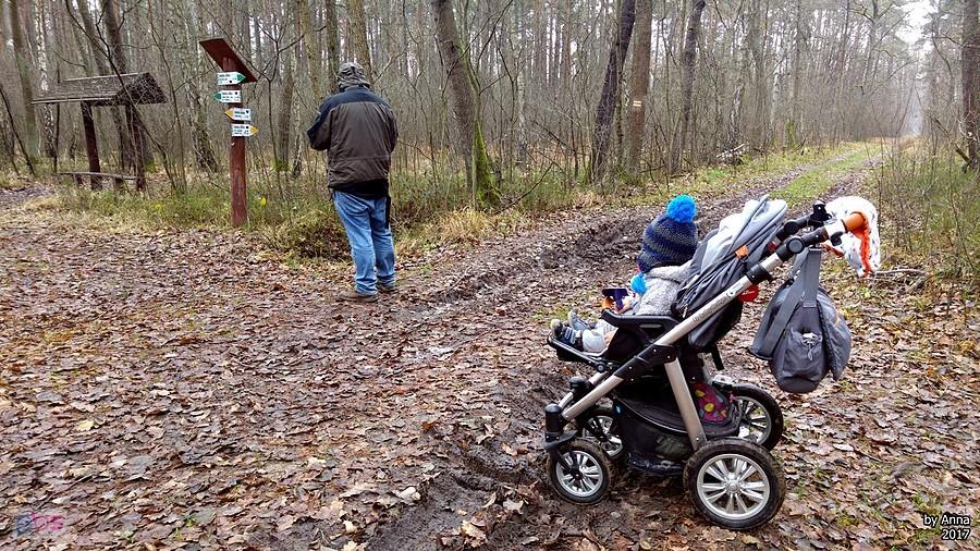 A jednak dobrze idziemy, bo to Tata lepiej się zna na mapie niż ja :D