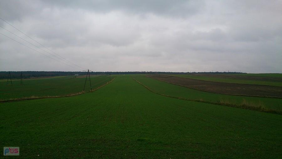 Zielone pola w Polanówce