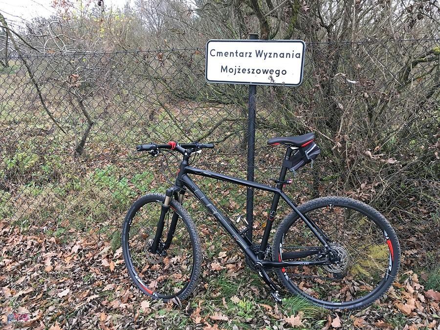 Cmentarz Wyznania Mojżeszowego w Lubaszu