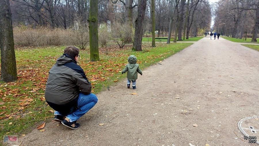 O, i Tymon biegnie za wiewiórką :D