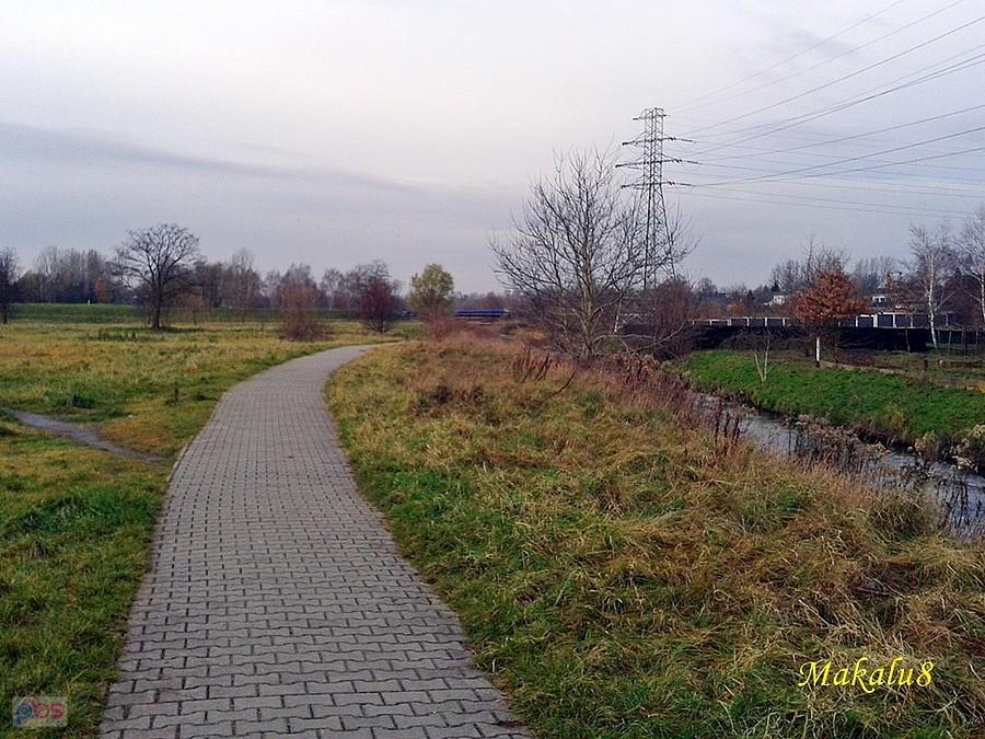Zabrze, ścieżka nad Bytomką