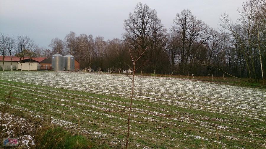 Pole lekko przybielone