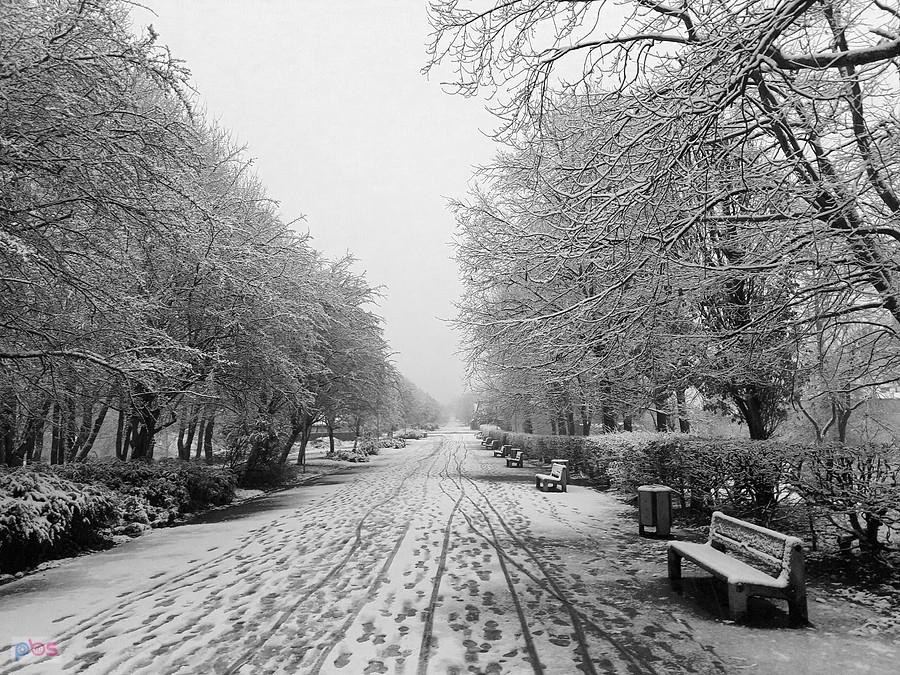 Zima na Promenadzie Czesława Niemena II.