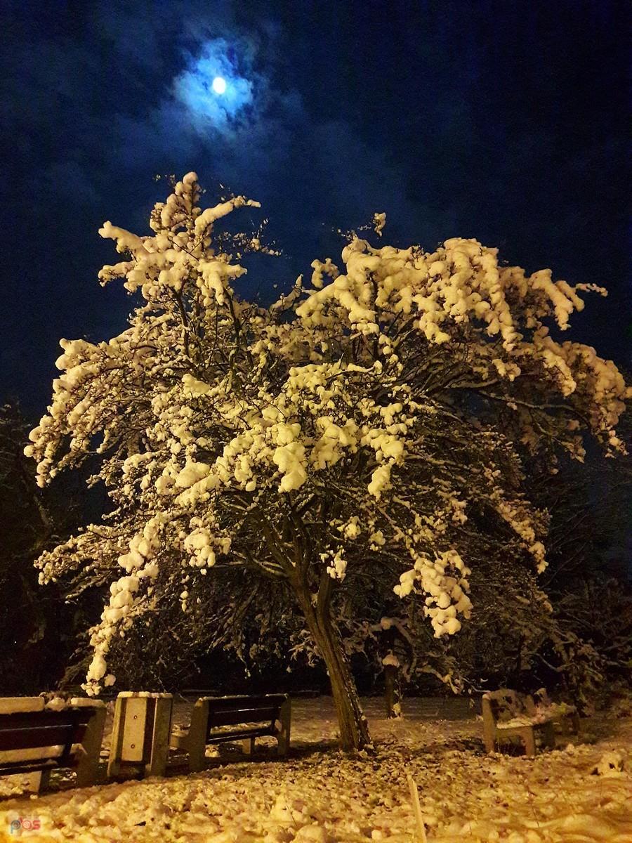 Zima na Promenadzie Niemena III.