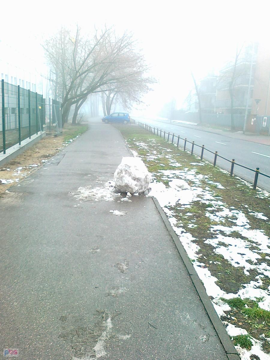 Bałwan nie przeżył