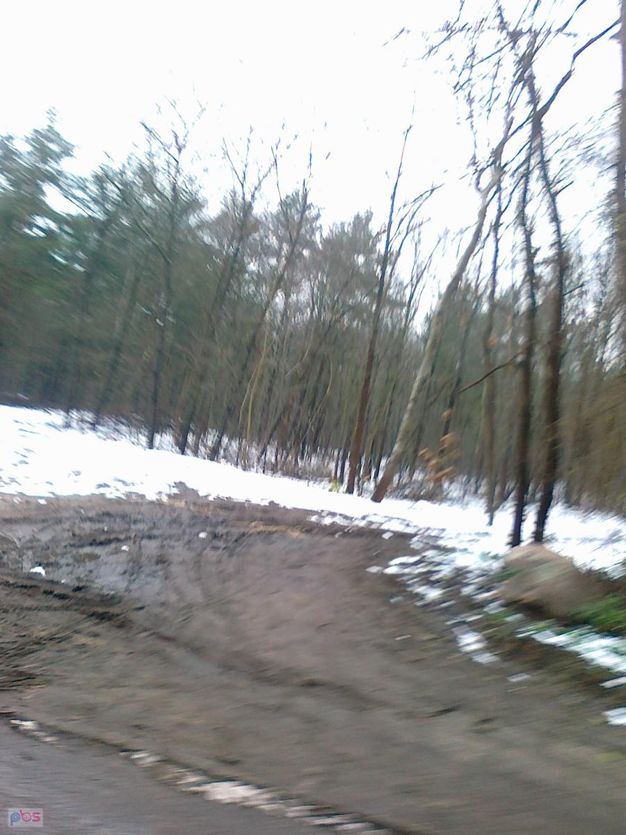 W lesie jeszcze sporo śniegu