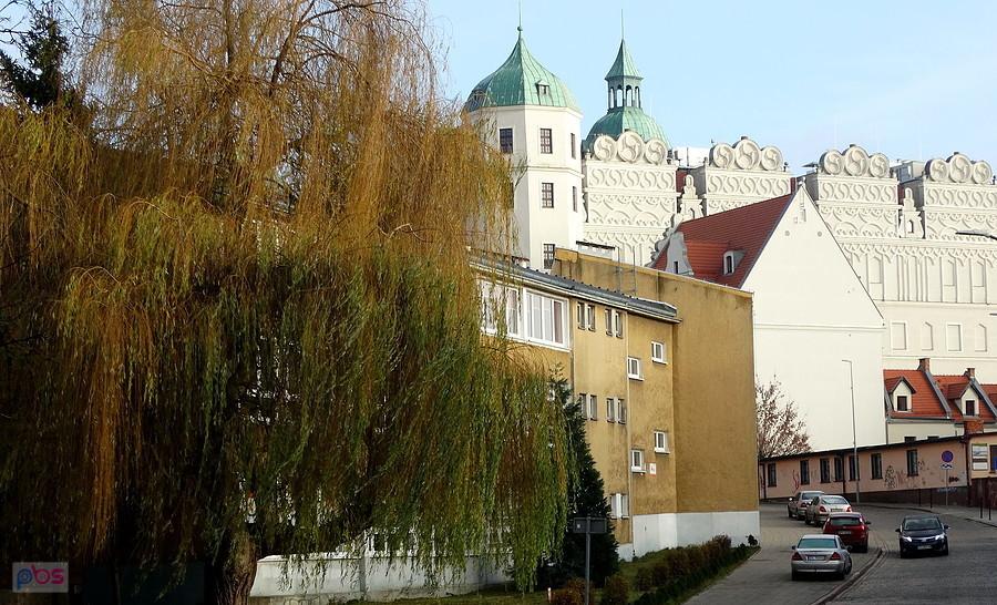 Pod zamkiem od strony ulicy Sołtysiej.