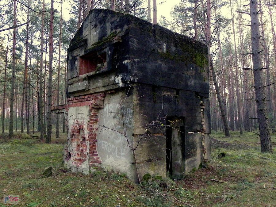 Żelbetowe stanowisko karabinu maszynowego pod Rybojadami