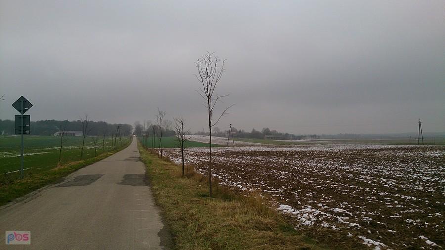 Lokalny asfalt w Osmolicach