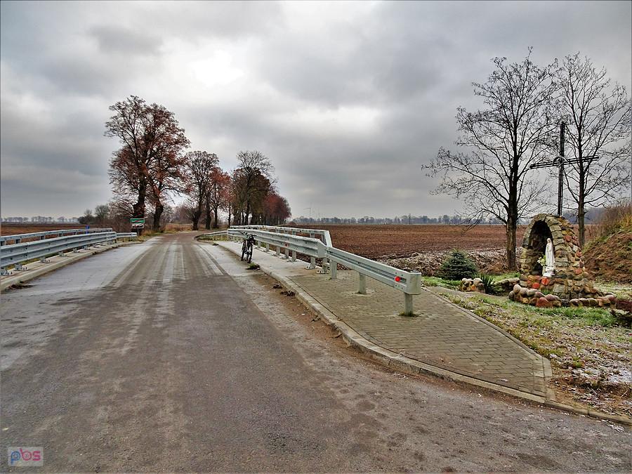 Grudniowe pączki - Nowy Staw 2017 r. Na trasie.