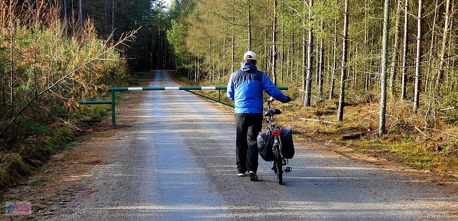 Kuba na szutrowej drodze pod Dobieszczynem.