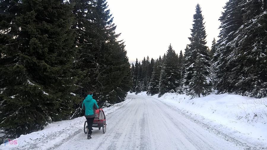 droga z ovcarni w dół