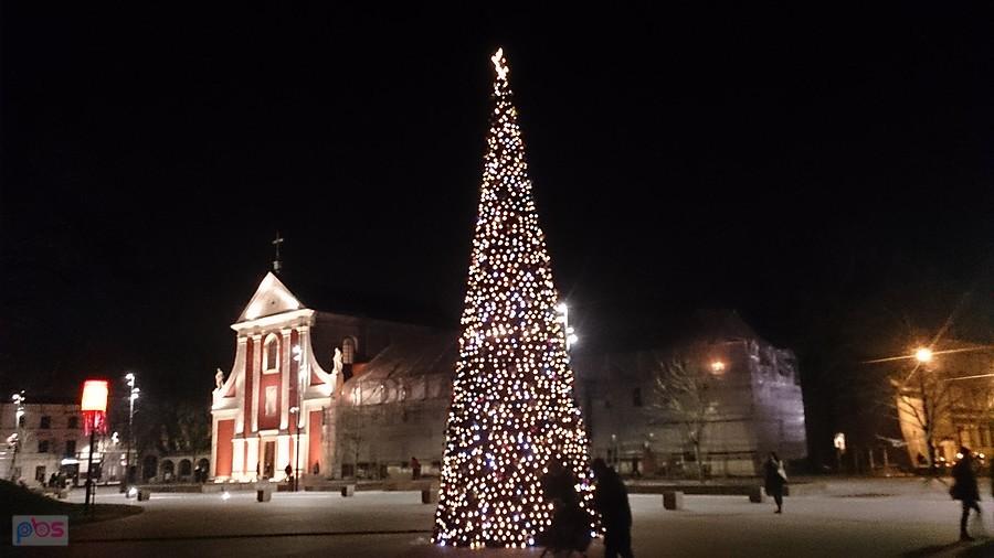 Choinka na placu Litewskim