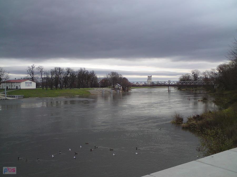 Szaro nad Odrą