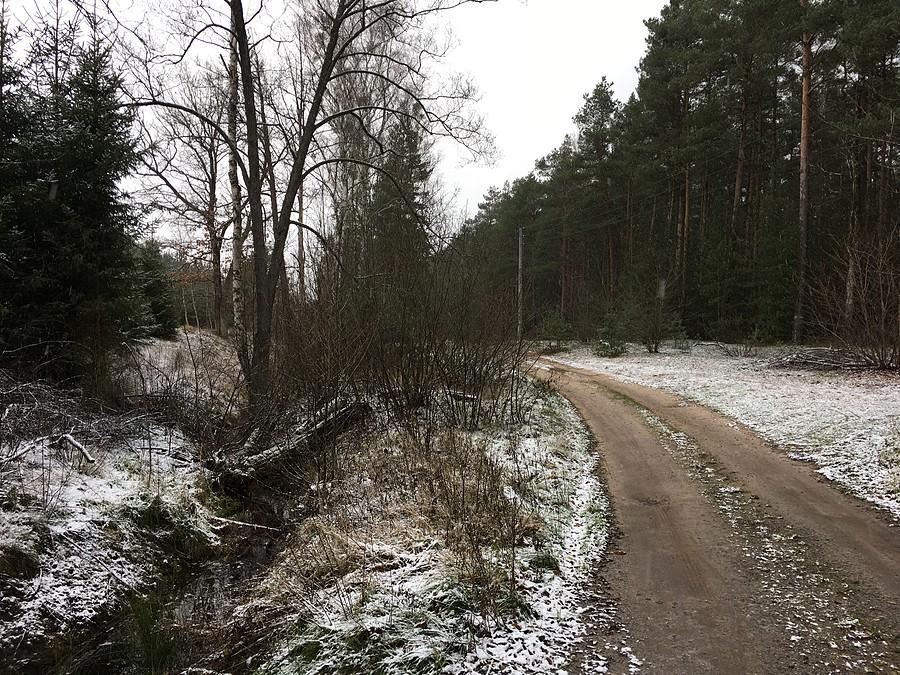 Trasa wzdłuż Rowu Rzecińskiego