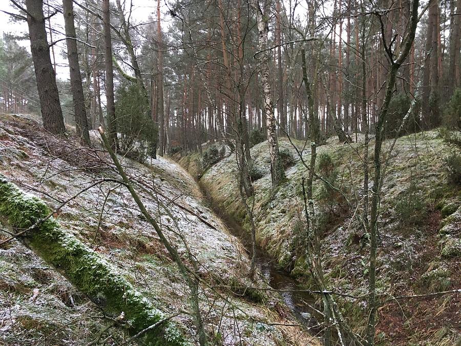 Rów Rzeciński wypływa z Jeziora Rzecińskiego i jest prawym dopływem Warty