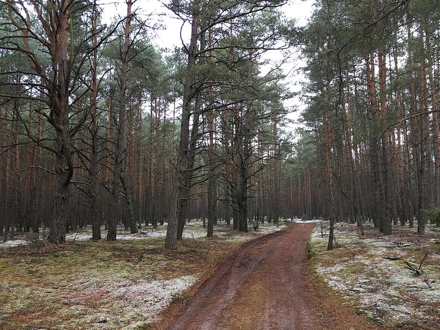 W drodze do Mężyka