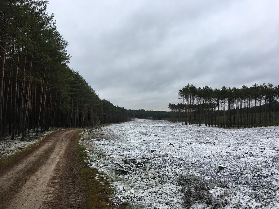 W drodze do Mężyka - przez Puszczę Notecką