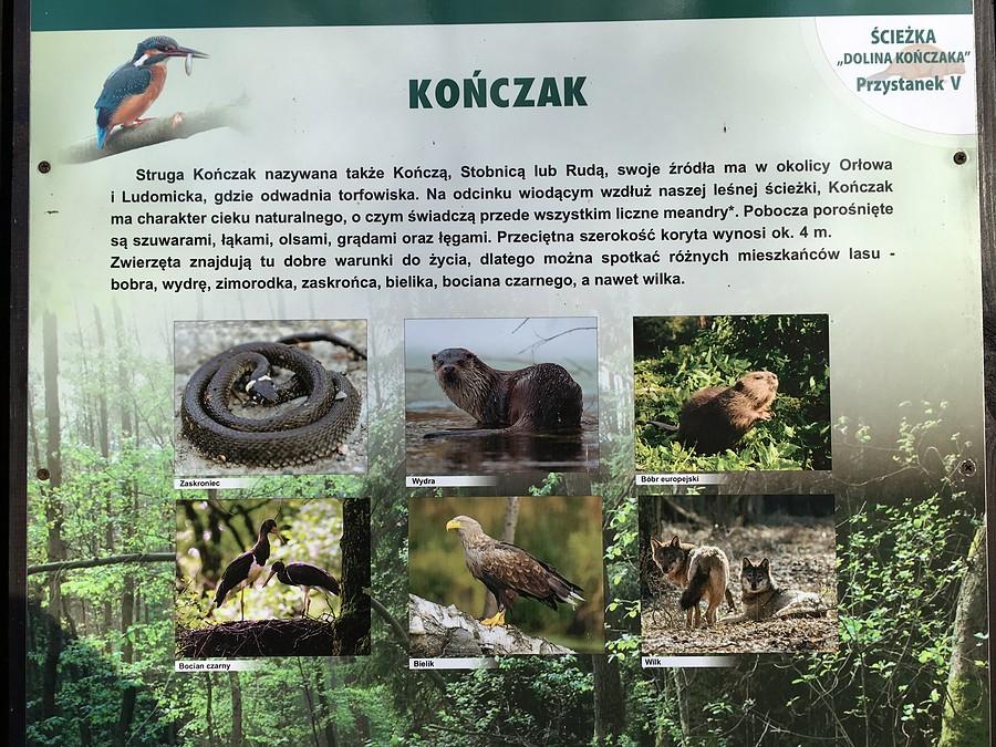 Tablica informacyjna
