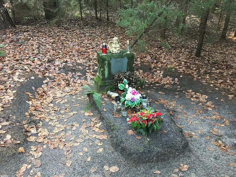 Grób dwóch poległych w dniu 3 listopada 1944 partyzantów