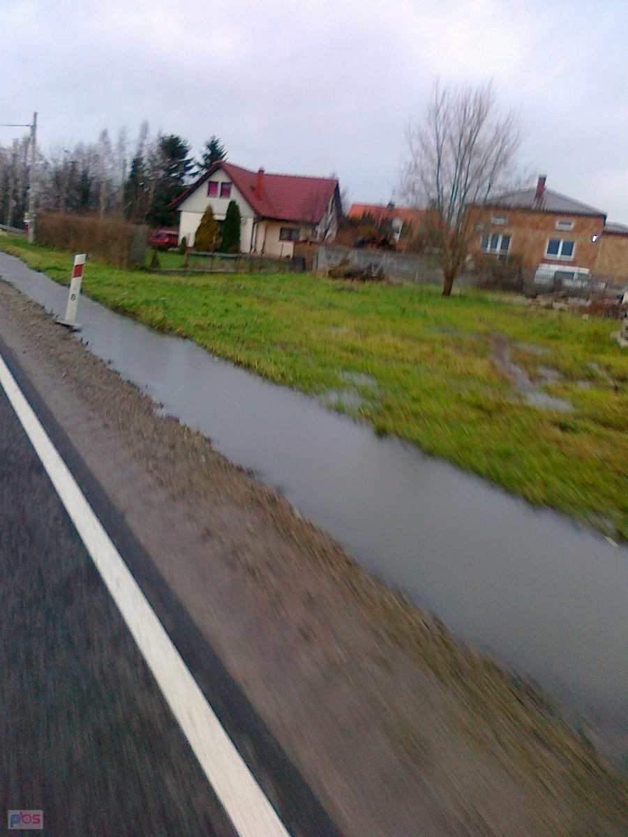 Poza Warszawą było poniżej 0. Lód w przydrożnym rowie