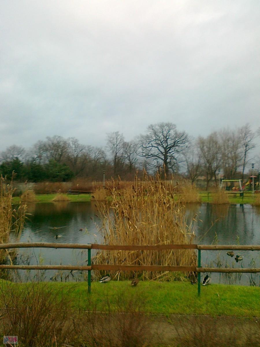 Trzeci staw
