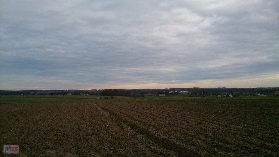 Pola i widok w dal