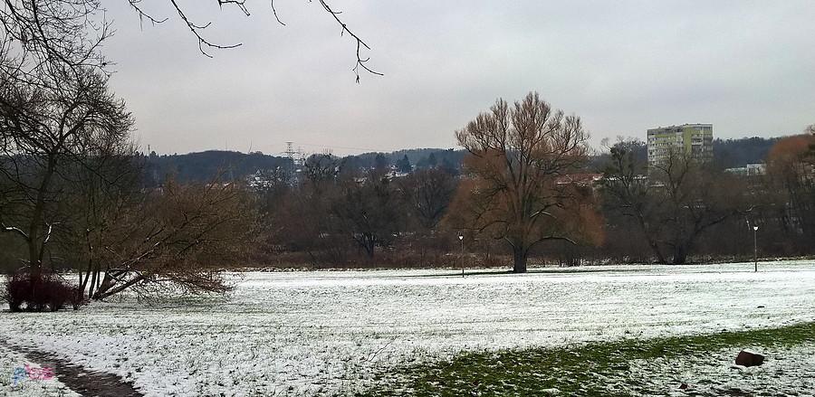 Pierwszy śnieg pod lasem.