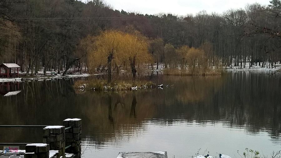 Uroczysko na Głębokim z pierwszym śniegiem.