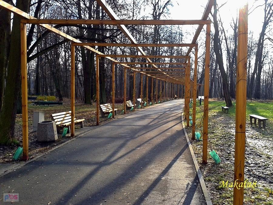 Park Pszczelnik_Siemianowice