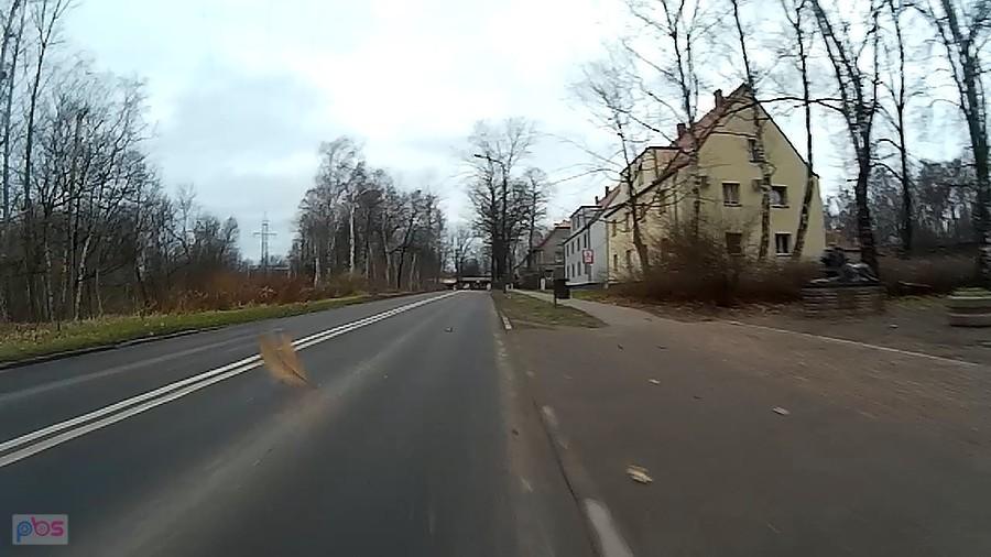 Liście latają we wszystkich kierunkach