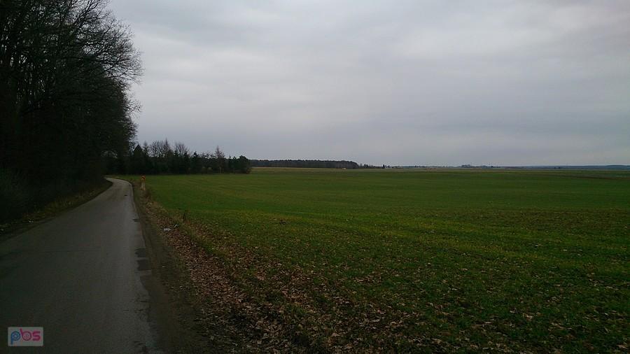 Pola koło Obroków