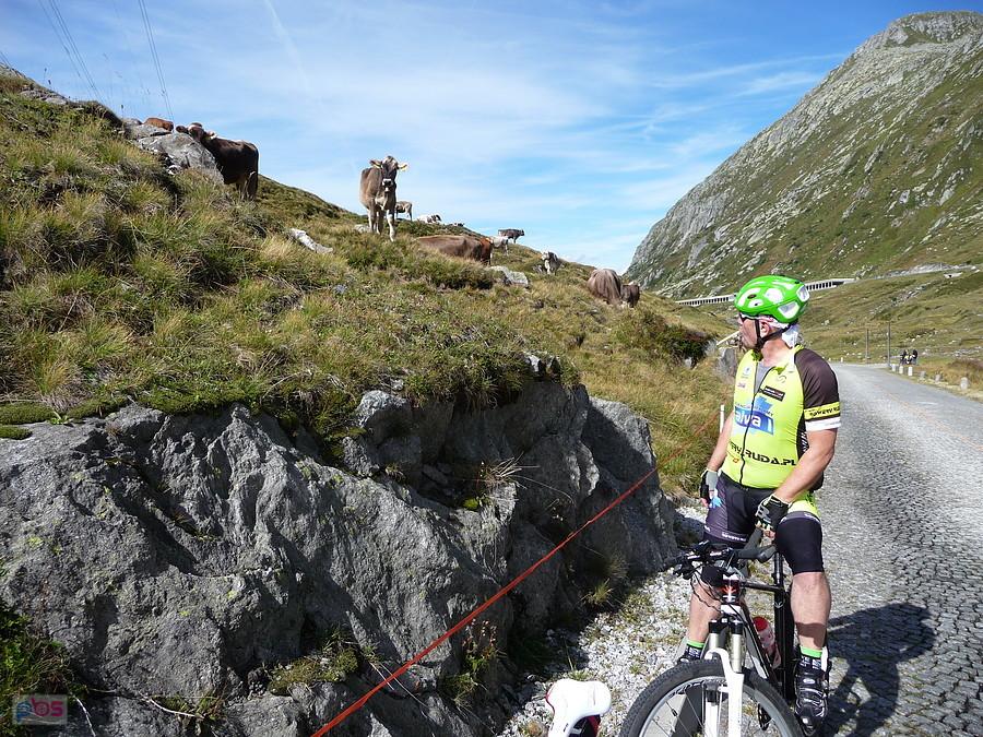 Disentis - Gotthardpass przez Oberalppass i spowrotem