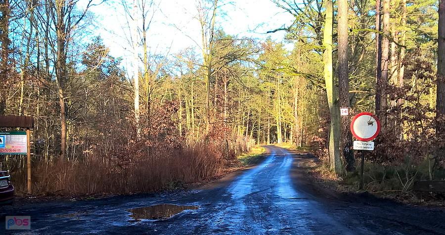 Początek drogi leśnej nr 14 prowadzącej nad jezioro Piaski.