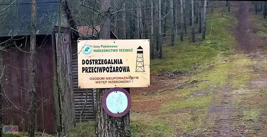 Przy leśnej drodze nr 18 blisko do jeziora Piaski.