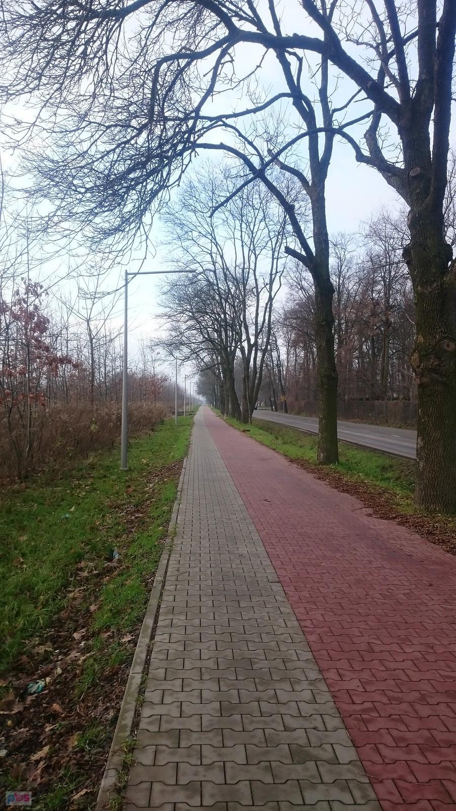 Strzykuły - Kaputy, bez pieszyc