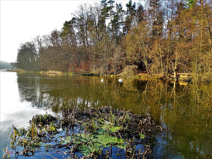 Po rybki na święta... - Boroszewo