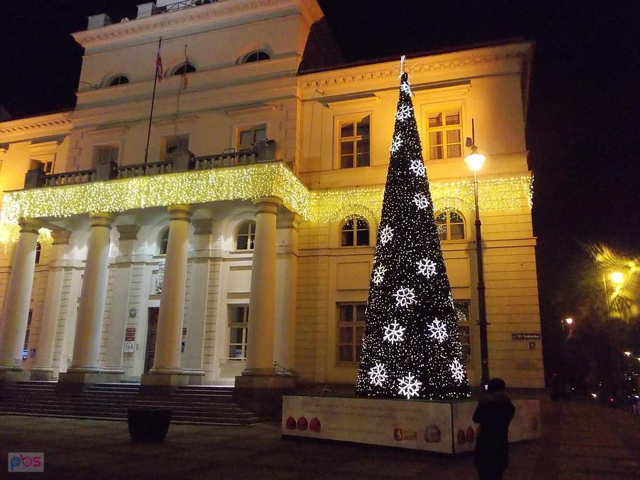 Choinka przed Ratuszem