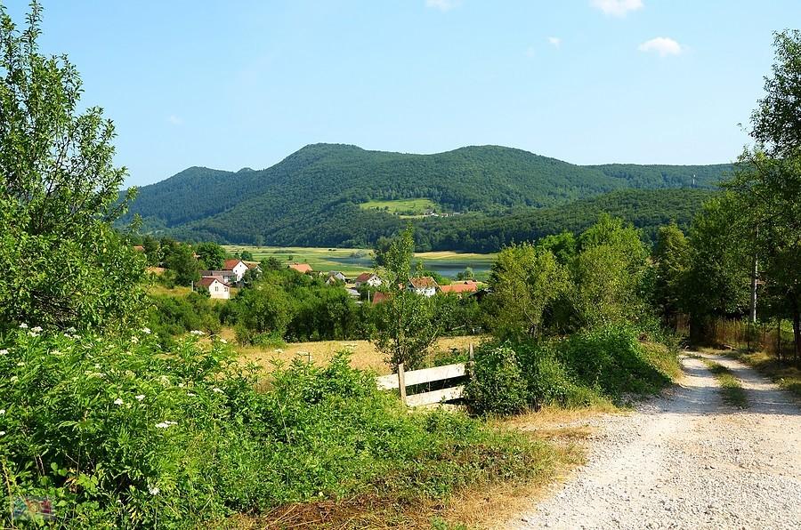 Zielona środkowa Chorwacja