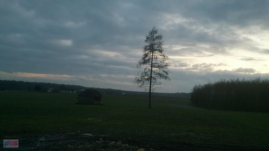 Pusta szopa na środku pola