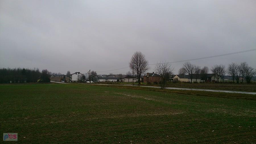 Zielono i błotniście na polach