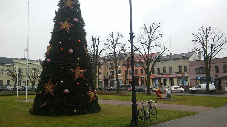 Wigilijny dzionek na rynku w Mosinie