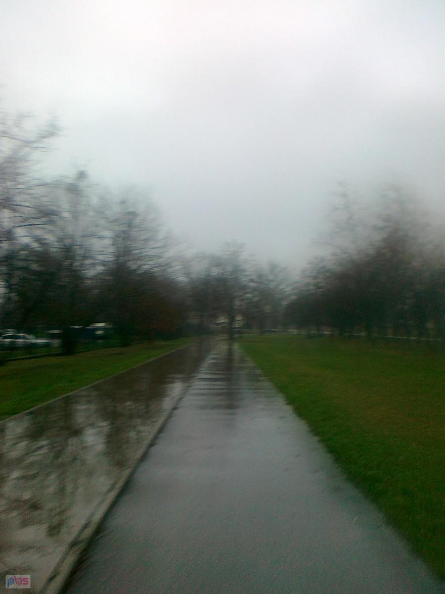 Piękny świąteczny poranek..:)
