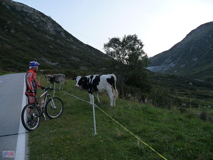 Wieczorny podjazd pod Lukmanierpass
