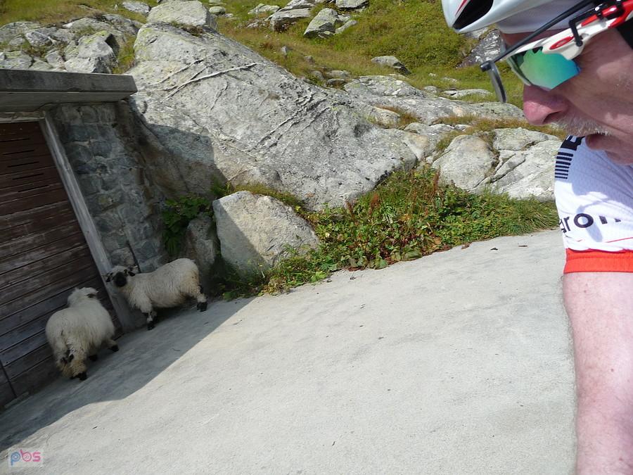 W Sneakersach na przełęcz Furkapass