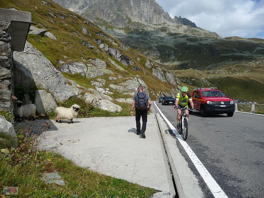 W Sneakersach na przełęcz Furkapass