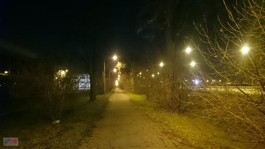 Aleja drzew nocą :)